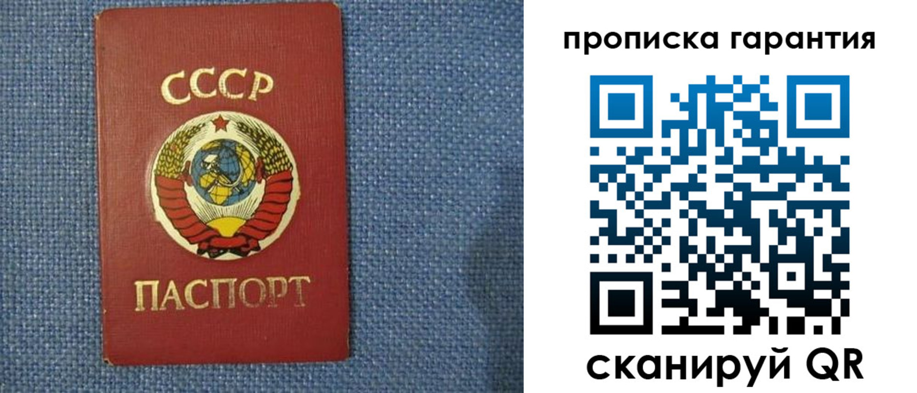 прописка 2025 в Клинцах